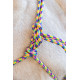 Enzo MultiColour Rope Halter wLead